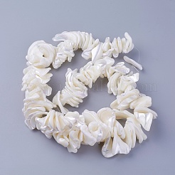 天然石シェルビーズ連売り  ナゲット  2.5~25x15~42x7~30mm  穴：1.4mm  約16.25インチ（41.3cm）&nbsp;SSHEL-E571-40