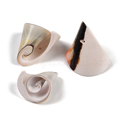 ナチュラルシヴァアイシェルペンダント  貝殻の形のチャーム  砂茶色  14~23x16~24x15~26mm  穴：1.3mm  約86個/500g&nbsp;SHEL-K009-17E