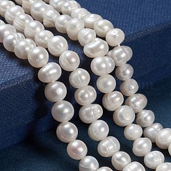 天然養殖淡水パールビーズ連売り  ポテト  古いレース  6.5~7mm  穴：0.8mm  約50~51個/連  約13.39~13.58''cm（34~34.5cm）&nbsp;X1-PEAR-N013-06G