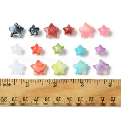 60個 2スタイル 不透明天然石風アクリルビーズ  スター  ミックスカラー  11~14.5x10.5~14.5x7~9.5mm  穴：1.8~2mm  30個/スタイル&nbsp;OACR-FS0001-85