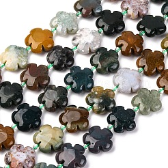 ナチュラルオーシャンジャスパー/オーシャンアゲートビーズ連売り  5  - 花びらの花  14~15x14~15x6~7mm  穴：1.2mm  約27個/連  16.14''（41~44.5センチメートル）&nbsp;G-D475-02D