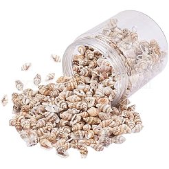 スパイラルシェルペンダントペンダント  淡いチソウ  13x6x6mm  穴：1mm  約170g/ボックス  480個/箱&nbsp;SSHEL-PH0002-18