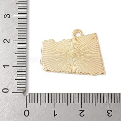 合金エナメルチャーム  ゴールドカラー  スポーツ  スイミングプール  カラフル  20x23x1.5mm  穴：1.8mm&nbsp;FIND-H047-04G-02