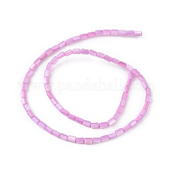 天然淡水貝殻染めビーズ連売り  コラム  プラム  4.8x3mm  穴：0.8mm  約78個/連  14.96''（38センチメートル）&nbsp;SHEL-M018-12-08