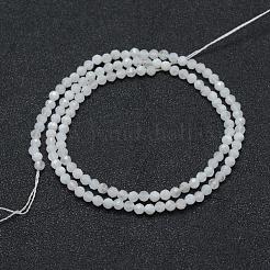天然レインボー ムーンストーン ビーズ 連売り  ラウンド  多面カット  3mm  穴：0.5mm  約113個/連  15.35インチ（39cm）&nbsp;G-E411-08-3mm