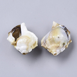 アクリルビーズ  天然石風  イモガイ  フローラルホワイト  27.5x21.5x14mm  穴：1.8mm  約207個/500g&nbsp;OACR-N130-013