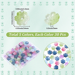 150色透明スプレーペイントガラスビーズキャップ5個  花  ミックスカラー  14x14x5mm  穴：1.5mm  30個/カラー&nbsp;GLAA-PA0001-49
