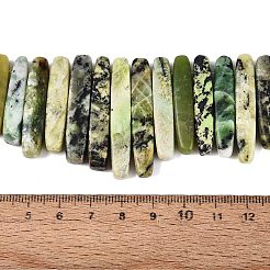 天然石蛇紋岩ビーズ連売り  不規則な棒  上部に穴が開けられた  12~49x3~9x4~9mm  穴：0.8~1mm  約55~68個/連  14.76~17.13インチ（37.5~43.5cm）&nbsp;G-Q616-06D