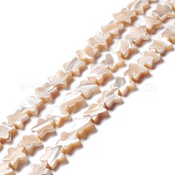 天然トロチッドシェル/トロカスシェルビーズ  スター  ナバホホワイト  10x11x2.5~3mm  穴：0.8mm  約46個/連  15.91インチ（40.4cm）&nbsp;SSHEL-O001-25C-01