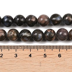 天然藍閃石ビーズ連売り  ラウンド  8mm  穴：1.2mm  約47~48個/連  14.96インチ〜15.75インチ（38~40cm）&nbsp;G-R485-12-8mm