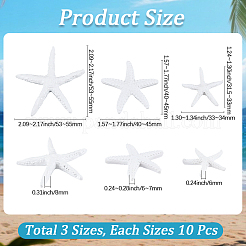 30個3スタイルの樹脂カボション  ヒトデ/海星  ホワイト  31.5~55x33~55x6~8mm  10個/スタイル&nbsp;RESI-GF0001-16