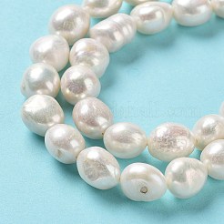 天然養殖淡水パールビーズ連売り  両面研磨  グレード4 A  貝殻色  11.5~13.5x11~12x8~9mm  穴：0.7mm  約31~35個/連  14.76''（37.5~39.5センチメートル）&nbsp;PEAR-Z002-04