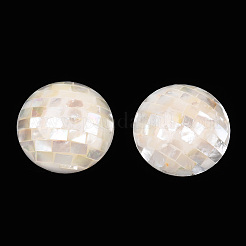 ナチュラルホワイトシェルビーズ  穴なし/ドリルなし  フラットラウンド  35x20.5~21.5mm&nbsp;SHEL-F007-16B