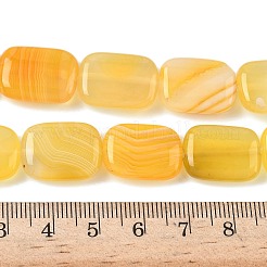 天然の縞瑪瑙/縞瑪瑙ビーズ連売り  染め＆加熱  長方形  きいろ  18~18.5x13~13.5x5~6mm  穴：1.5mm  約22個/連  15.63''（39.7センチメートル）&nbsp;G-B137-B01-01L