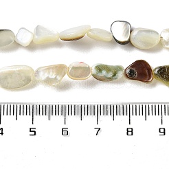 天然ブラックリップシェルビーズ連売り  ナゲット  7~13x5~8x3~5mm  穴：0.6mm  約39~41個/連  13.78~14.37インチ（35~36.5cm）&nbsp;SHEL-G020-04