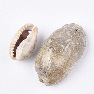 カウリーシェルペンダント  キャメル  23~46x14~26x10~25mm  穴：1.5mm  約70個/500g&nbsp;SSHEL-T008-27-1