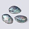 Natural Abalone Shell/Paua ShellDecoration, Shell, 110~130x85~90x35~50mm