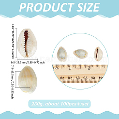 天然シェル  シェル形状  花瓶フィラー用  水槽の装飾材料  DIYクラフト  古いレース  20.5~22x11x9.5~10.5mm  100個/セット&nbsp;SSHEL-PH0001-36A
