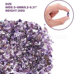 天然アメジストチップビーズ  穴なし/ドリルなし  5~8mm  300 G /袋&nbsp;G-GA0001-19