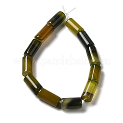 天然石瑪瑙ビーズ連売り  染め＆加熱  コラム  ダークカーキ  8~8.5x14.5~16mm  穴：1.6mm  約12個/連  7.20~7.48''（18.3~19センチメートル）&nbsp;G-H295-E01-12