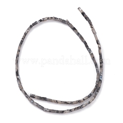 天然黒ラルビカイト ビーズ 連売り  直方体の  3.5~6x2.2x2.2mm  穴：0.9mm  約79~83個/連  15.04~15.24''（38.2~38.7センチメートル）&nbsp;G-C301-06