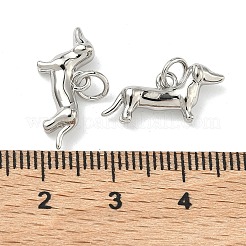 真鍮チャーム  犬のチャーム  カドミウムフリー＆鉛フリー  長持ちメッキ  ラックめっき  プラチナ  8.5x15x4mm  丸カン：5x0.8ミリ  内径：3.5mm&nbsp;KK-G555-01P-01