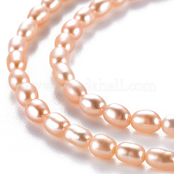 天然養殖淡水パールビーズ連売り  ライス  ライトサーモン  4.5~6x3~3.5mm  穴：0.5mm  約76~78個/連  14.37インチ（36.5cm）&nbsp;PEAR-N012-02C