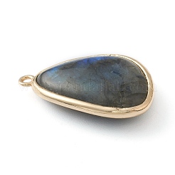 天然石ラブラドライトペンダント  金色の真鍮エッジ付き  ティアドロップ  28x17.5x7mm  穴：1.6mm&nbsp;G-B009-05G