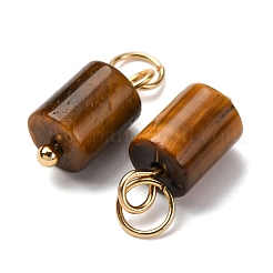 304ステンレススチールの丸カン付き天然タイガーアイコラムチャーム  ゴールドカラー  14x6mm  穴：4mm&nbsp;G-Q032-01A