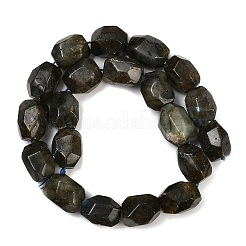 天然石ラブラドライトビーズ連売り  多面カット  ナゲット  19.5~23x14~15.5x13.5~15.5mm  穴：0.9mm  約18~19個/連  14.96~15.47''（38~39.3センチメートル）&nbsp;G-F796-C10-01