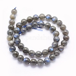 天然石ラブラドライトビーズ連売り  ラウンド  8mm  穴：1mm  約49個/連  15.5インチ（39.5cm）&nbsp;G-O166-08-8mm