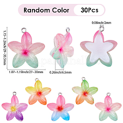 30個のレジンペンダント  花  プラチナ鉄ループ付き  ミックスカラー  29~30.5x27~30x6.5mm  穴：2mm&nbsp;RESI-BM0001-06B