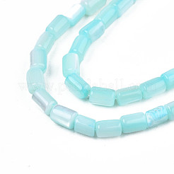 天然トロチッドシェル/トロカスシェルビーズ連売り  染め  コラム  淡いターコイズ  4~5x3~3.5mm  穴：0.9mm  約77~78個/連  15.55インチ〜15.75インチ（39.5~40cm）&nbsp;SHEL-N003-26-B09