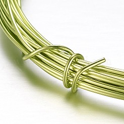 ラウンドアルミクラフトワイヤー  DIYアートとクラフトプロジェクトのために  黄緑  12ゲージ  2mm  5m /ロール（16.4フィート/ロール）&nbsp;AW-D009-2mm-5m-07