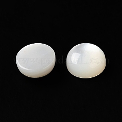 天然石ホワイトシェルカボション  半円/ドーム  ホワイトスモーク  8x3.5mm&nbsp;SSHEL-M022-01B