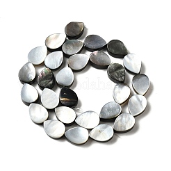 天然ブラックリップシェルビーズ連売り  ティアドロップ  13.5~14x10~10.5x4~4.5mm  穴：1mm  約28個/連  15.35''（39cm）〜15.39''（39.1cm）&nbsp;BSHE-D300-04B