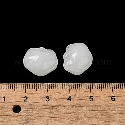 クリアガラスペンダント  長寿ロックチャーム  ホワイト  14x16x7mm  穴：1.2mm&nbsp;GLAA-D025-08O