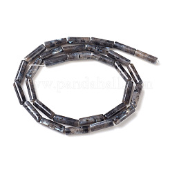 天然ラルビカイトビーズ連売り  コラム  13~14x4mm  穴：1mm  約30個/連  15.9インチ（40.5cm）&nbsp;X-G-F247-23