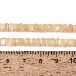 天然トロチッドシェル/トロカスシェルビーズ連売り  ロンデル  スムーズ  ナバホホワイト  5x3mm  穴：0.5~0.6mm  約126~129個/連  15.35~15.75インチ（39~40cm）&nbsp;BSHE-T014-54B