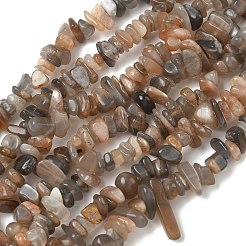 天然マルチムーンストーンチップビーズ連売り  8~13x6~8x3~5mm  穴：0.5~0.6mm  29.92~30.71''（76~78センチメートル）&nbsp;G-B160-A04-01
