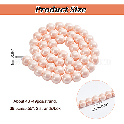 2連売り電気メッキシェルパールビーズ連売り  洗練された  ラウンド  ダークサーモン  8mm  穴：1mm  約50個/連  15.7インチ&nbsp;PEAR-NB0001-96
