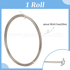銅平角線  フラット  DIYジュエリークラフト作成用  プラチナ  1x1mm  約98.43フィート（30m）/ロール&nbsp;FIND-WH0427-45P