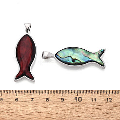 合金と染色された天然パウア貝のペンダント  魚のチャーム  プラチナ  ミックスカラー  42.5~43x14.5~15x4.5~5mm  穴：6x3.5mm&nbsp;PALLOY-T093-06M