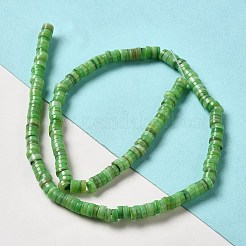 天然シェルビーズ  フラットラウンド/ディスク  ヒシビーズ  ライムグリーン  5x1.5~3mm  穴：0.8~1mm  約167~214個/連  15.55~15.94''（39.5~40.5センチメートル）&nbsp;BSHE-B003-13A-03