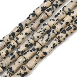 天然石ダルメシアンジャスパービーズ連売り  竹の共同  12x5mm  穴：1.2mm  約37個/連  14.96''（38センチメートル）&nbsp;GG-CBAEB22-A03-01