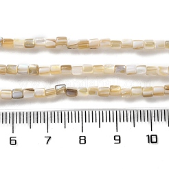 天然淡水シェルビーズ連売り  コラム  2.5~3x2.5~3mm  穴：0.9mm  約117個/連  14.96''（38センチメートル）&nbsp;X-SSHEL-B002-17