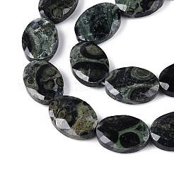 天然カンババジャスパービーズ連売り  フラットオーバル  多面カット  18x13~13.5x5.5~6mm  穴：1.2mm  約11個/連  7.87インチ（20cm）&nbsp;G-S354-13x18-A03