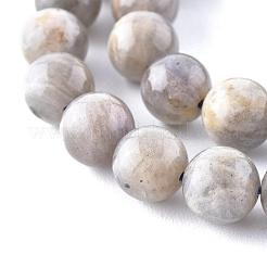 天然石ラブラドライトビーズ連売り  ラウンド  8mm  穴：1mm  約47個/連  15.5インチ&nbsp;X-G-G212-8mm-23