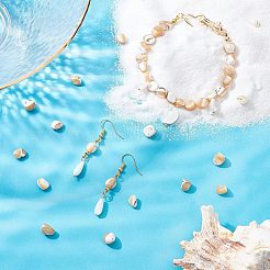 2 連売り天然トロキッド貝/トロキス貝ビーズ 連売り  ナゲットチップス  3.5~13x6~12x3~8mm  穴：0.9mm  約68~73個/連  15.35インチ〜15.94インチ（39~40.5cm）&nbsp;SSHEL-FH0001-11