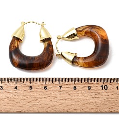 真鍮樹脂フープピアス  長持ちメッキ  カドミウムフリー＆鉛フリー  ゴールドカラー  オーバル  37x31x10.5mm&nbsp;EJEW-P333-11D-G02